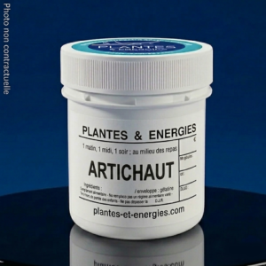ARTICHAUT
