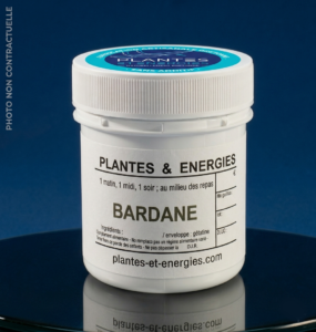 bardane