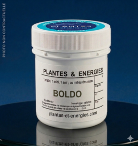 boldo
