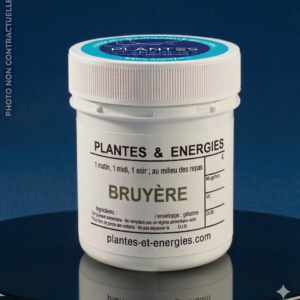BRUYÈRE