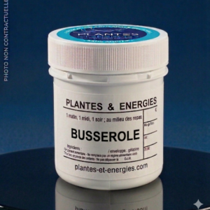 BUSSEROLE