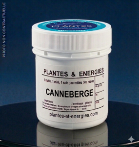 canneberge