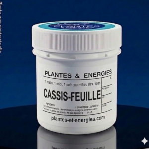 CASSIS-FEUILLE
