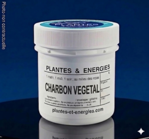 charbon-vegetal