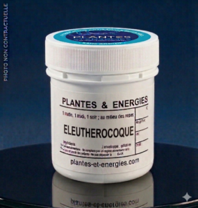 eleutherocoque