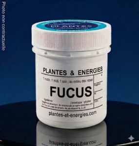fucus