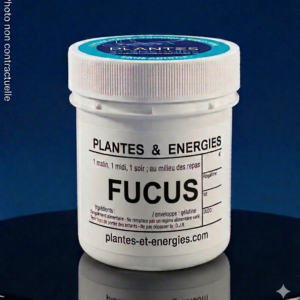 FUCUS
