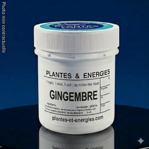 GINGEMBRE