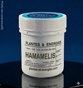 hamamelis