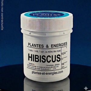 HIBISCUS ( karkadé )