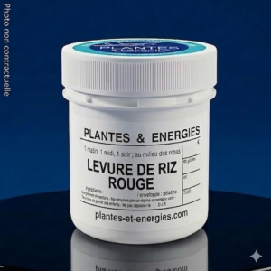 LEVURE de RIZ ROUGE