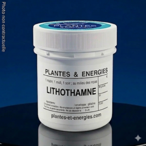 LITHOTHAMNE