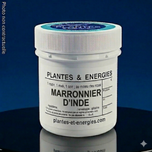 MARRONNIER d’INDE