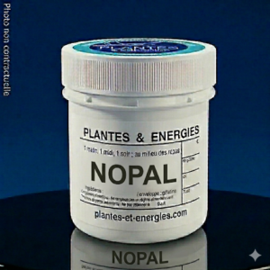 NOPAL ( Cactus du Mexique )