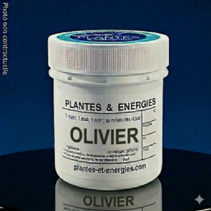 OLIVIER