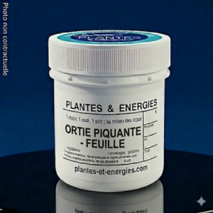 ORTIE PIQUANTE-feuille