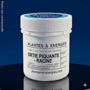 ORTIE PIQUANTE-racine