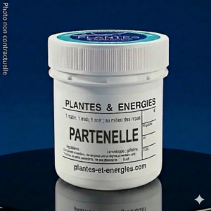 PARTENELLE