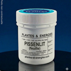 PISSENLIT-feuille