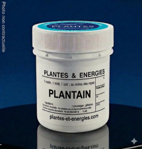 plantain