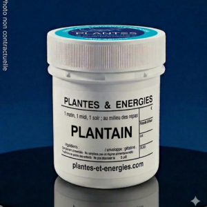 PLANTAIN