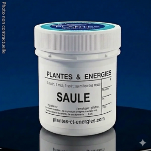 SAULE
