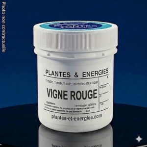 VIGNE ROUGE