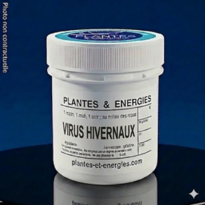 VIRUS HIVERNAUX