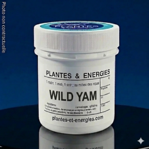 WILD YAM
